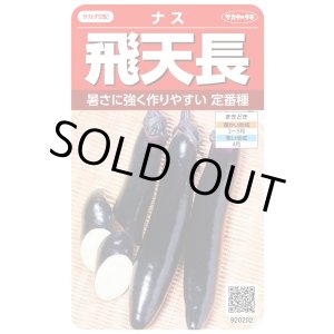 画像: 送料無料　[なす]　飛天長　約60粒　(株)サカタのタネ　実咲550（002833）