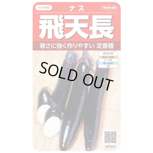 画像1: 送料無料　[なす]　飛天長　約60粒　(株)サカタのタネ　実咲550（002833） (1)