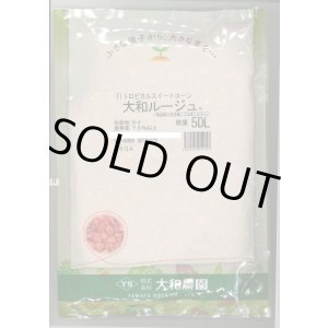 画像: 送料無料　[とうもろこし]　大和ルージュ　5dl(およそ2000粒入っております。)（株）大和農園