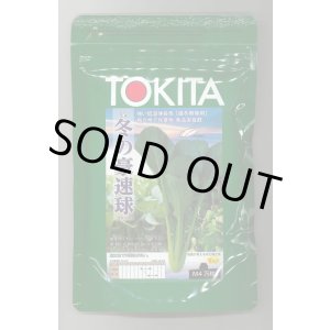 画像: 送料無料　[小松菜]　冬の豪速球　M4万粒　トキタ種苗(株)