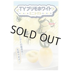 画像: 送料無料　[トマト/ミニトマト]　TYプリモホワイト　7粒　小林種苗（株）