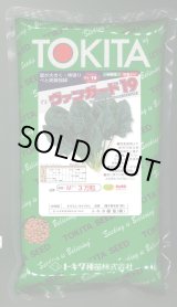 画像: ほうれんそう　ヴァンガード19　種子サイズM：3万粒　トキタ種苗（株）