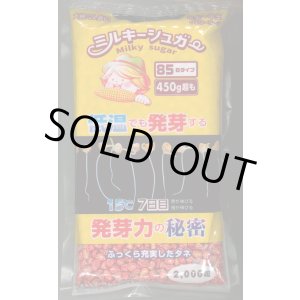 画像: 送料無料　[とうもろこし]　ミルキーシュガー85　2000粒　トキタ種苗(株)
