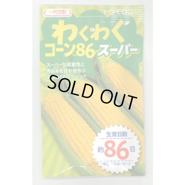 画像1: 送料無料　[とうもろこし]　わくわくコーン86スーパー　100粒　カネコ種苗（株） (1)