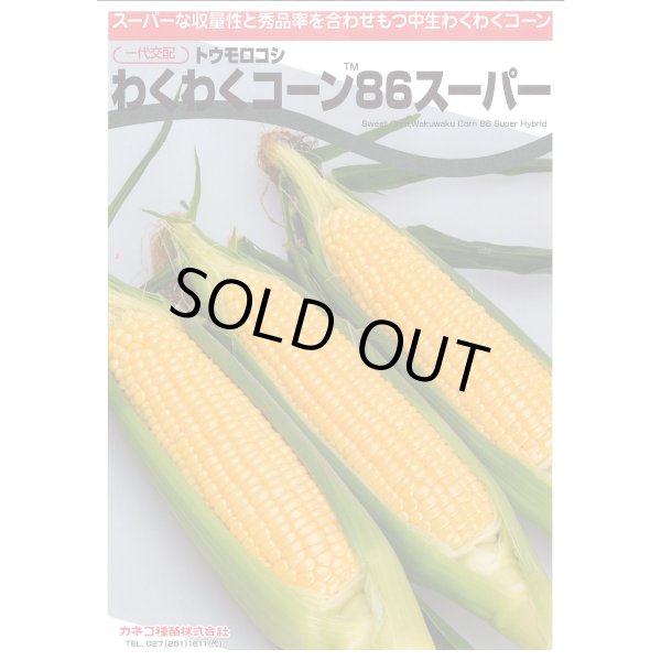 画像2: 送料無料　[とうもろこし]　わくわくコーン86スーパー　100粒　カネコ種苗（株） (2)