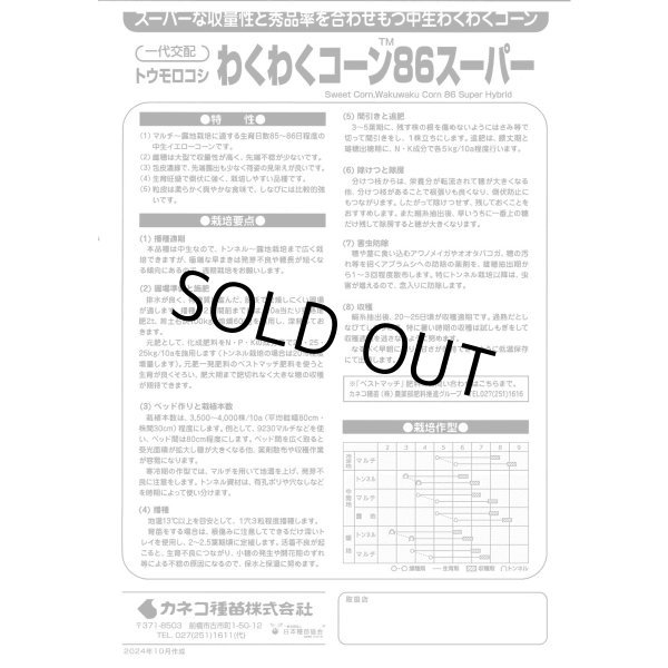 画像3: 送料無料　[とうもろこし]　わくわくコーン86スーパー　100粒　カネコ種苗（株） (3)