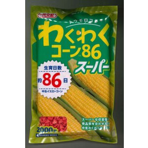 画像: 送料無料　[とうもろこし]　わくわくコーン86スーパー　2000粒　カネコ交配