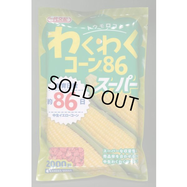 画像1: [とうもろこし]　わくわくコーン86スーパー　2000粒　カネコ種苗（株） (1)