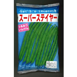 画像: [いんげん]　スーパーステイヤー　1L（10％増量）ヴィルモランみかど