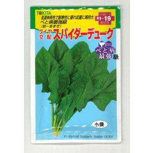 画像: ほうれんそう　スパイダーデューク　小袋(30ml)　トキタ種苗(株)