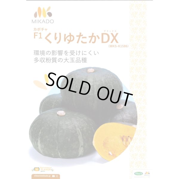 画像1: 送料無料　[かぼちゃ]　くりゆたかDX　100粒　ヴィルモランみかど（株） (1)
