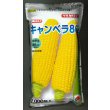 画像1: [とうもろこし]　キャンベラ86　2000粒　タキイ種苗 (1)