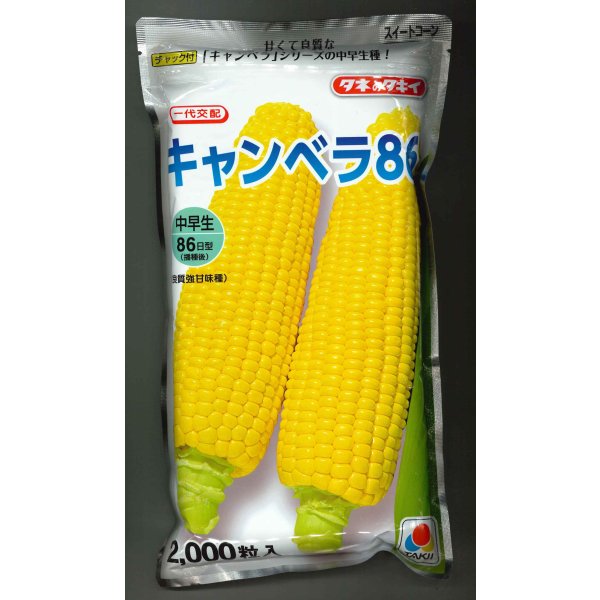画像1: [とうもろこし] キャンベラ86 2000粒 タキイ種苗 (1)