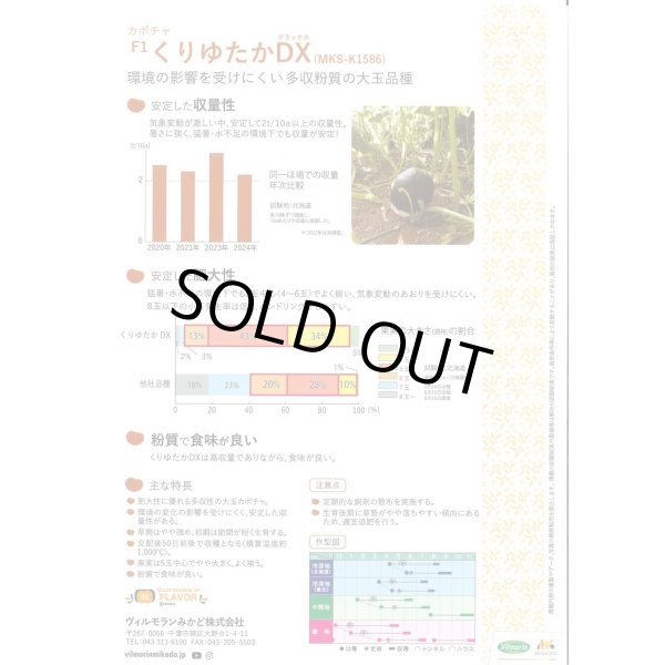 画像2: 送料無料　[かぼちゃ]　くりゆたかDX　100粒　ヴィルモランみかど（株） (2)