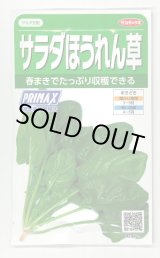 画像: [ほうれんそう]　サラダほうれんそう（トリトン）　約900粒（株）サカタのタネ　実咲350（003732）