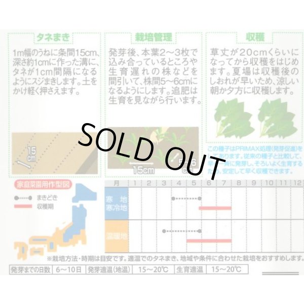 画像2: [ほうれんそう]　サラダほうれんそう（トリトン）　約900粒（株）サカタのタネ　実咲350（003732） (2)
