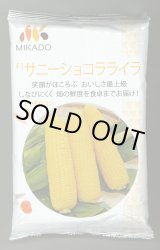 画像: [とうもろこし]　サニーショコラ　ライラ　2000粒　みかど協和(株)