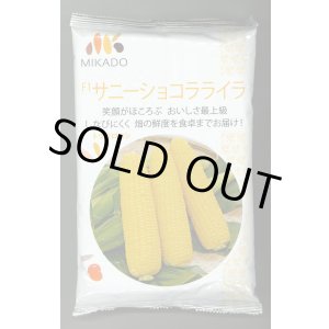 画像: [とうもろこし]　サニーショコラ　ライラ　2000粒　みかど協和(株)