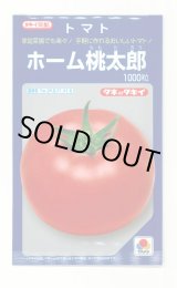画像: 送料無料　[トマト/桃太郎系]　ホーム桃太郎　1000粒　タキイ種苗(株)