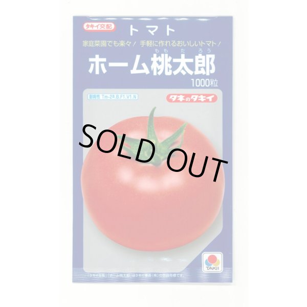 画像1: 送料無料　[トマト/桃太郎系]　ホーム桃太郎　1000粒　タキイ種苗(株) (1)