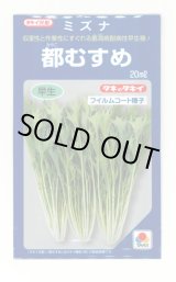 画像: 水菜 都むすめ 20ml タキイ種苗(株)