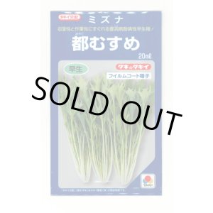 画像: 水菜 都むすめ 20ml タキイ種苗(株)