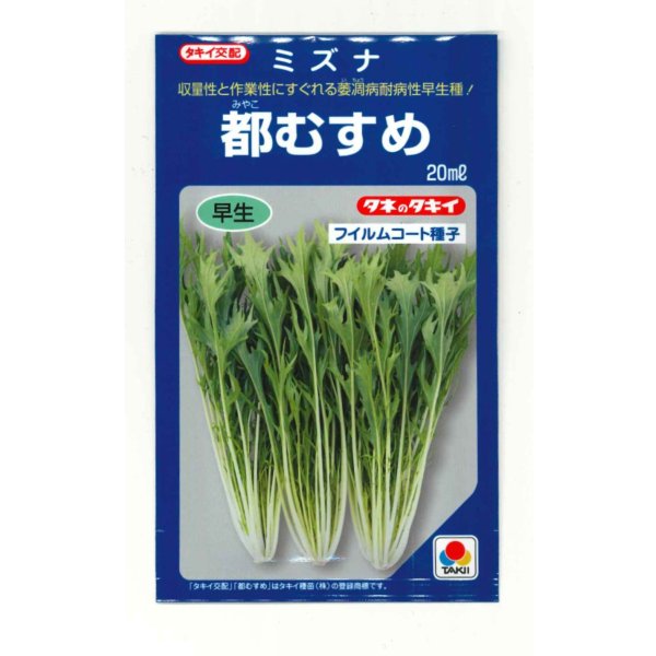 画像1: 送料無料　[葉物]　水菜　都むすめ　20ml　タキイ種苗(株)　 (1)
