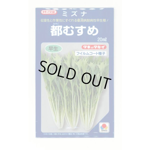 画像1: 水菜 都むすめ 20ml タキイ種苗(株) (1)