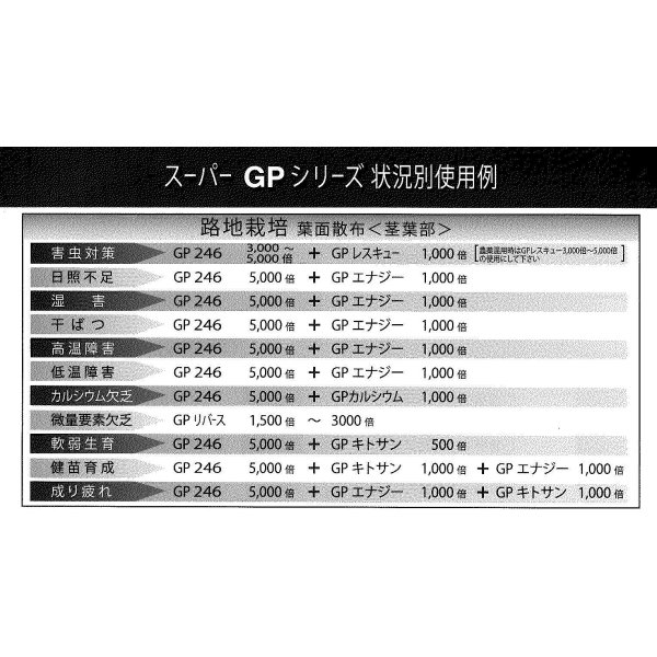 画像4: 肥料　活性剤　GPエナジー　1000ml (4)