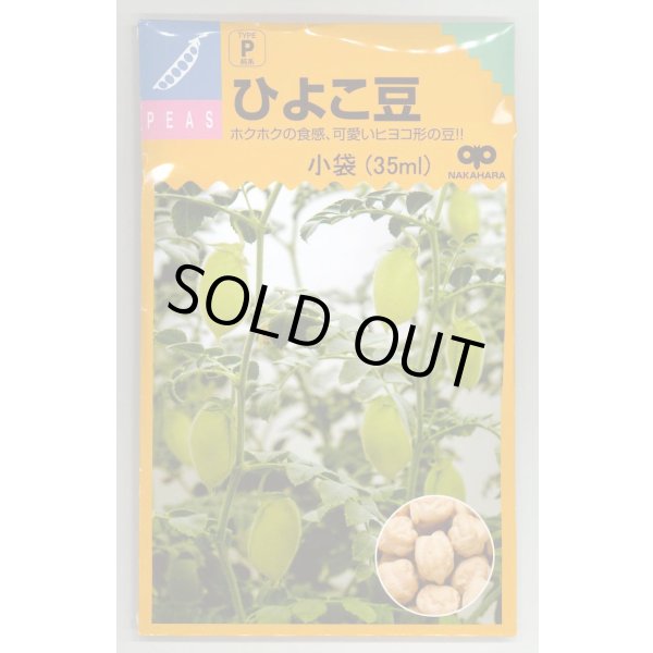 画像1: 送料無料　[豆類]　ひよこ豆　小袋（35ml）　中原採種場（株） (1)