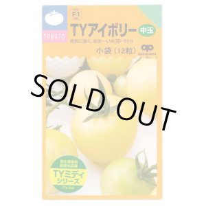 画像: 送料無料　[トマト/ミニトマト]　TYアイボリー　12粒　中原採種場（株）