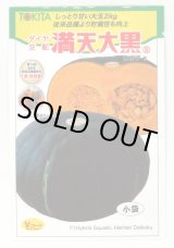 画像: [かぼちゃ]　ミニカボチャ　満天大黒　7粒　　トキタ種苗（株）