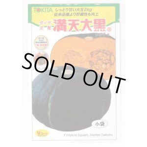 画像: [かぼちゃ]　ミニカボチャ　満天大黒　7粒　　トキタ種苗（株）