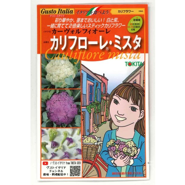 画像1: 送料無料　[イタリア野菜]　カリフローレミスタ　40粒（各20粒）　トキタ種苗(株) (1)