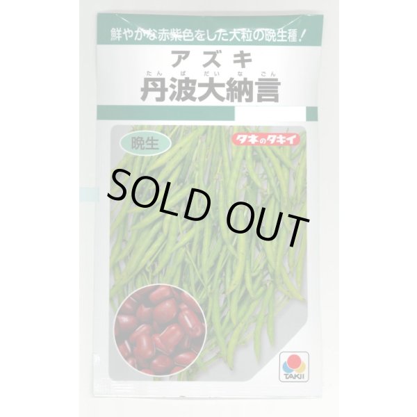画像1: 送料無料　[豆類]　丹波大納言小豆（アズキ）　30ml（約90粒）　タキイ種苗（株）GF (1)