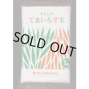 画像: [緑肥]　オオムギ　てまいらずE　1kg　カネコ種苗(株)