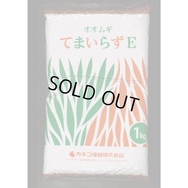 画像1: [緑肥]　オオムギ　てまいらずE　1kg　カネコ種苗(株) (1)