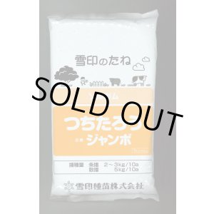 画像: [緑肥]　ソルガム　つちたろう　1kg　雪印種苗(株)