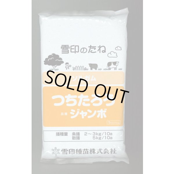 画像1: [緑肥]　ソルガム　つちたろう　1kg　雪印種苗(株) (1)