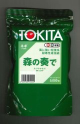 画像: [ねぎ]　森の奏で　コート5千粒　トキタ種苗(株)