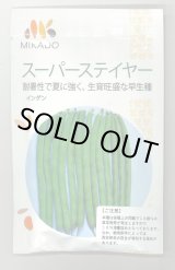 画像: 送料無料　[いんげん]　スーパーステイヤー　30ml（10％増量）　ヴィルモランみかど（株）
