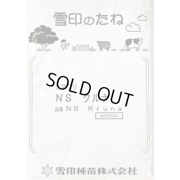 画像1: [景観形成作物]　ひまわり　NSクルナ　500ｇ　　雪印種苗（株） (1)