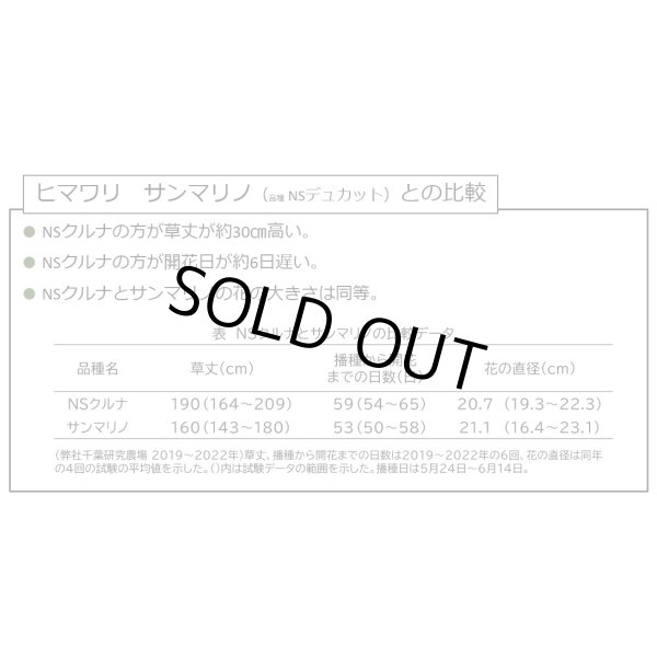 画像2: [景観形成作物]　ひまわり　NSクルナ　500ｇ　　雪印種苗（株） (2)