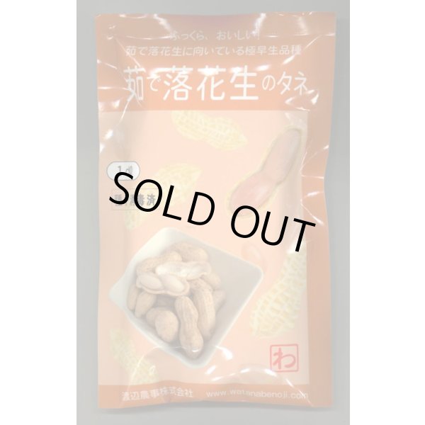 画像1: 送料無料　[落花生]　郷の香　1dl(およそ60粒)　渡辺農事（株） (1)