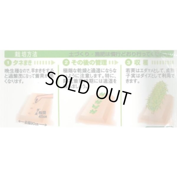 画像3: 送料無料　[枝豆]　丹波黒大粒大豆　35ml（約37粒）　タキイ種苗(株)GF (3)