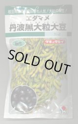 画像: 送料無料　[枝豆]　丹波黒大粒大豆　35ml（約37粒）　タキイ種苗(株)GF
