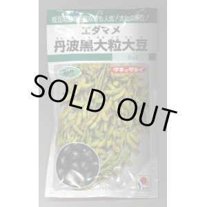 画像: 送料無料　[枝豆]　丹波黒大粒大豆　35ml（約37粒）　タキイ種苗(株)GF