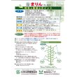 画像4: 送料無料　[キュウリ]　まりん　350粒　（株）埼玉原種育成会 (4)