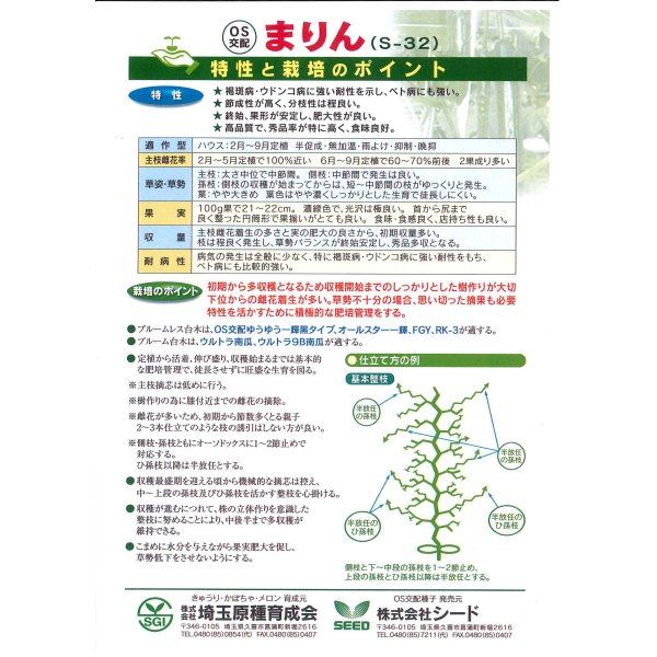 画像4: 送料無料　[キュウリ]　まりん　350粒　（株）埼玉原種育成会 (4)
