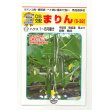 画像1: 送料無料　[キュウリ]　まりん　350粒　（株）埼玉原種育成会 (1)